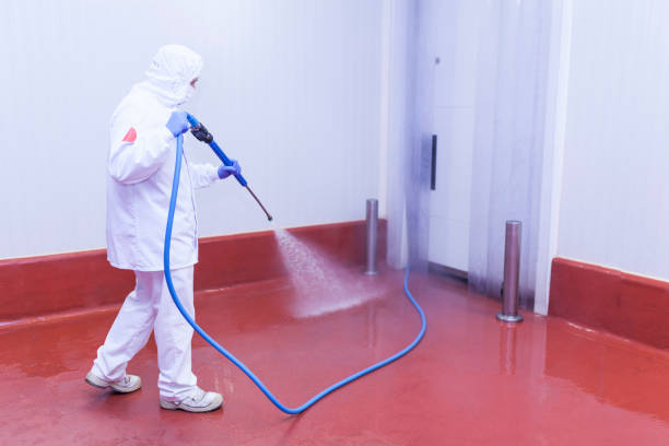 Best Concrete Sealing  in Sweeny, TX