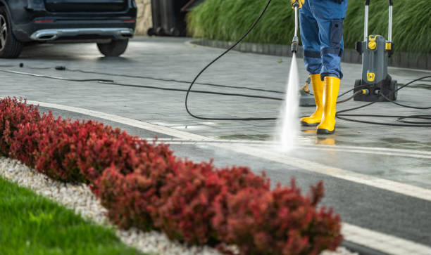 Best Solar Panel Cleaning  in Sweeny, TX